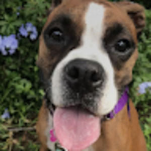 Meet your Posher, Ashlee